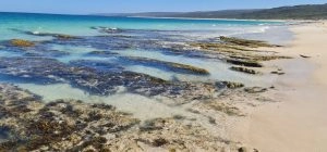 A pristine beach with clear turquoise water, rocky formations, and patches of seaweed near the shore feels like home. The coastline extends into the distance with a backdrop of green, rolling hills.