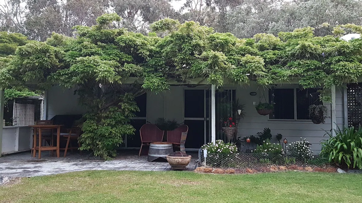A white house with a lush green wisteria vine covering the porch area, surrounded by a garden with various plants, outdoor chairs, and a small table. A lawn extends from the house.
