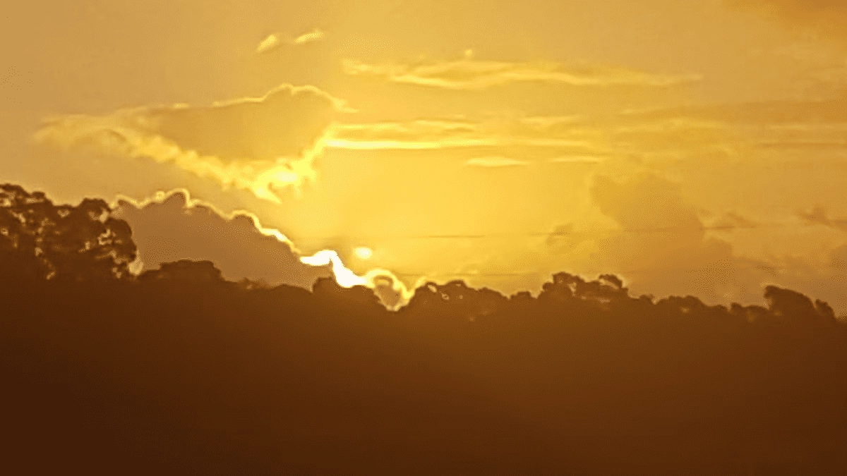 A golden sunset behind a silhouette of trees, with scattered clouds in the sky.