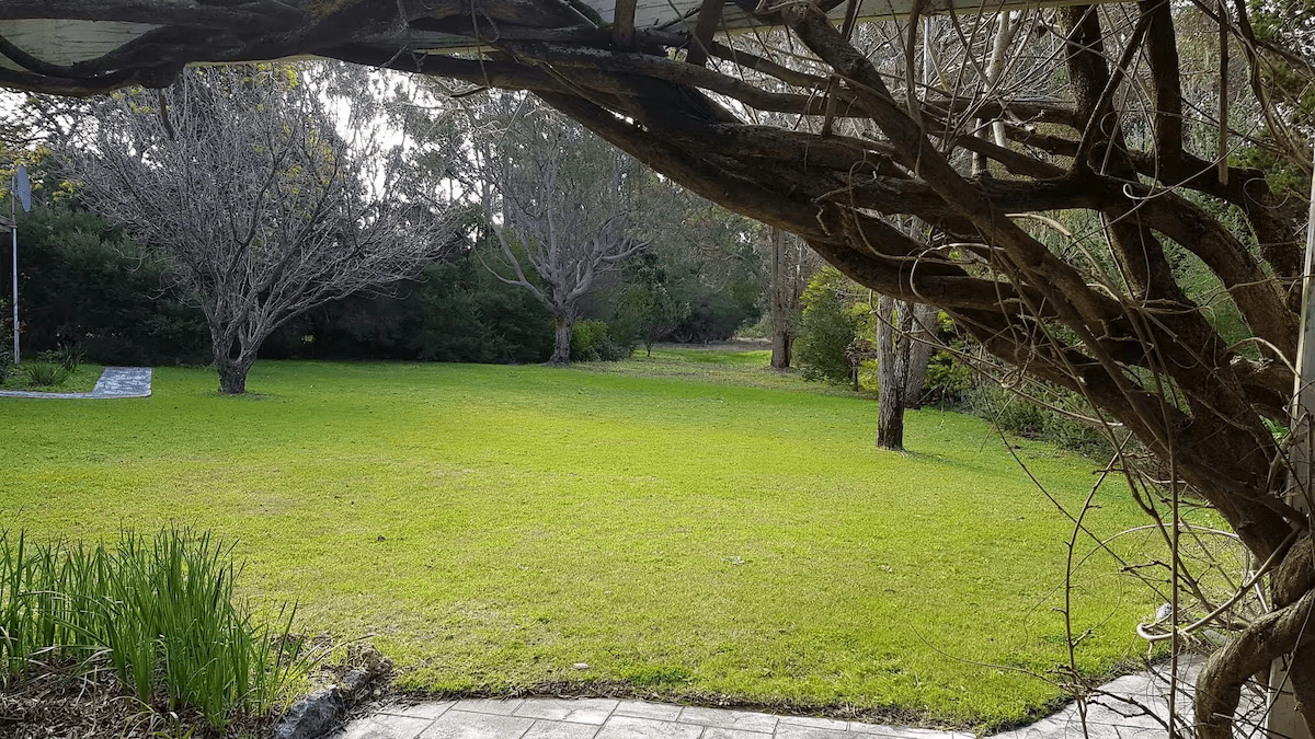 A view of a green lawn with trees in the background, seen from under a wooden pergola with entwined vines.