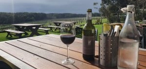 A Table With A Glass Of Red Wine, A Bottle Of Wine, A Bottle Of Water, And A Container With Utensils Sits Outdoors With A View Of A Vineyard And Picnic Benches In The Background.
