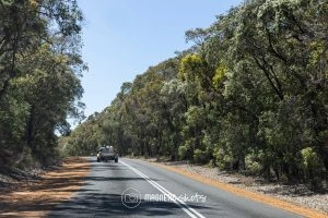 A Car Drives Down A Tree Lined Road Under A Clear Blue Sky.