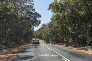A Pickup Truck Drives On A Tree Lined Rural Road With Clear Skies.